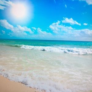 Meet your Posher, Jessie